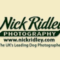 Nick Ridley Photography