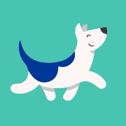 Bruce's Dog Daycare